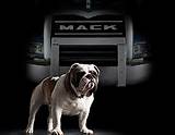 Pictures of Mack Trucks Bulldog