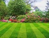 Picture Perfect Lawn Care Photos