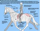 Photos of Balance Exercises For Horse Riders