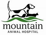 Pictures of Mountain Animal Hospital