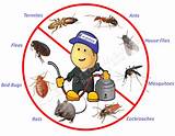 Photos of What Is Pest Control