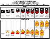 Us Military Rank Insignia Images