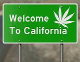 Photos of Medical Marijuana Labels California