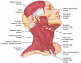 Images of Face Muscle Strengthening