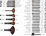 Photos of Makeup Brush Set Names And Uses