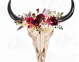 Bull Skull With Flowers Pictures