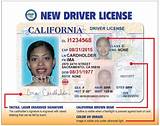 California State License School Photos