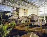Images of Gaylord Palms Reservations Orlando