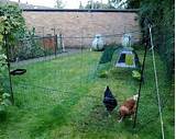 Images of Omlet Chicken Fencing For Sale