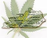 Kentucky Marijuana Legalization Pictures