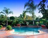 Pool Landscaping Tropical Pictures