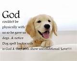 Bible Quotes Pets Pictures