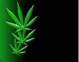 Marijuana Screensavers Free Photos