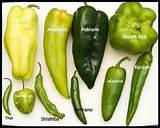 Images of Types Of Chili Peppers And Their Heat Index