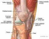 Images of Muscle Strengthening Around Knee