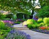 Landscape Design Houzz Photos