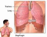 Breathing Exercises Using Diaphragm