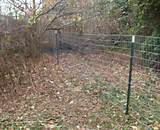 Install Electric Wire Fence