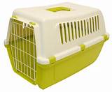 Pet Delivery Carrier Service Images