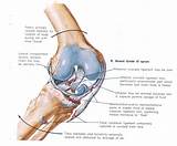 Pictures of Exercises Knee Injury