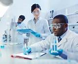 Medical Laboratory Science Degree Online Photos