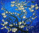 Almond Blossom Van Gogh High Resolution Photos