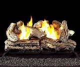 Ebay Gas Logs Ventless Pictures