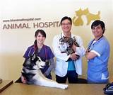 Hk Animal Hospital Pictures