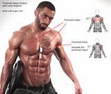 Upper Chest Muscle Exercises