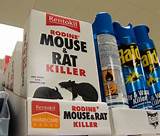 Rat Poison Treatment Photos