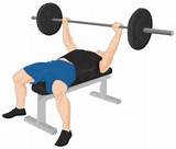 Weight Bench Workout Exercises Images
