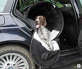 Pictures of Dog Carriers For Cars Dog Seats