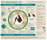 Images of Pet Insurance Colorado