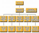 Corporate Security Department Structure