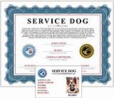 Emotional Service Dog Registration Free Pictures