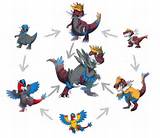 Fossils Pokemon X Pictures