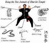 Martial Arts Fighting Styles