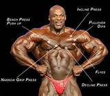 Upper Pectoral Muscle Exercises Pictures
