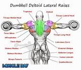 Pictures of Deltoid Workout Exercises
