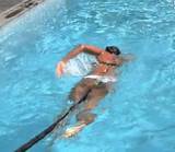 Swim Training Leash Images