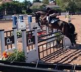 Photos of Horse Jumping Fences For Sale