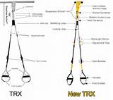 What Is Trx Exercises Images