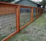 Hog Panel Fence Installation