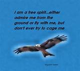 Eagle Quotes Images Images