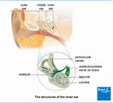 Inner Ear Balance Exercises Pictures