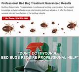 Pictures of Bed Bug Car Treatment