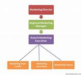 Sales And Marketing Job Titles Pictures
