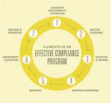Medicare Compliance Program Core Requirements