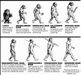 Images of Theory Of Evolution Neanderthal