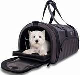 Pet Carrier Size For Airlines